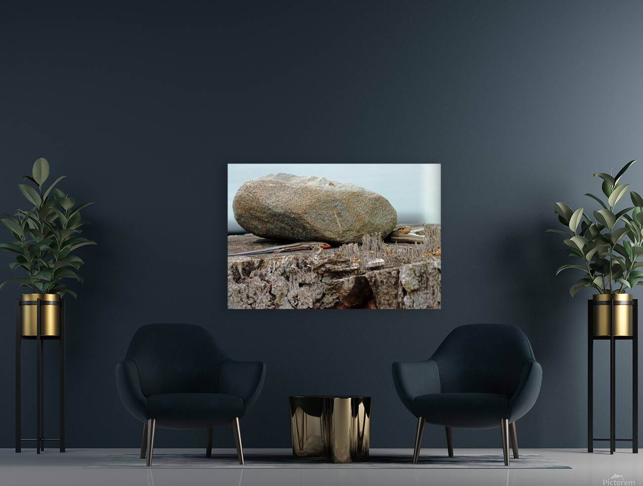 Five Lined Skink And Garter Snake Reproduction