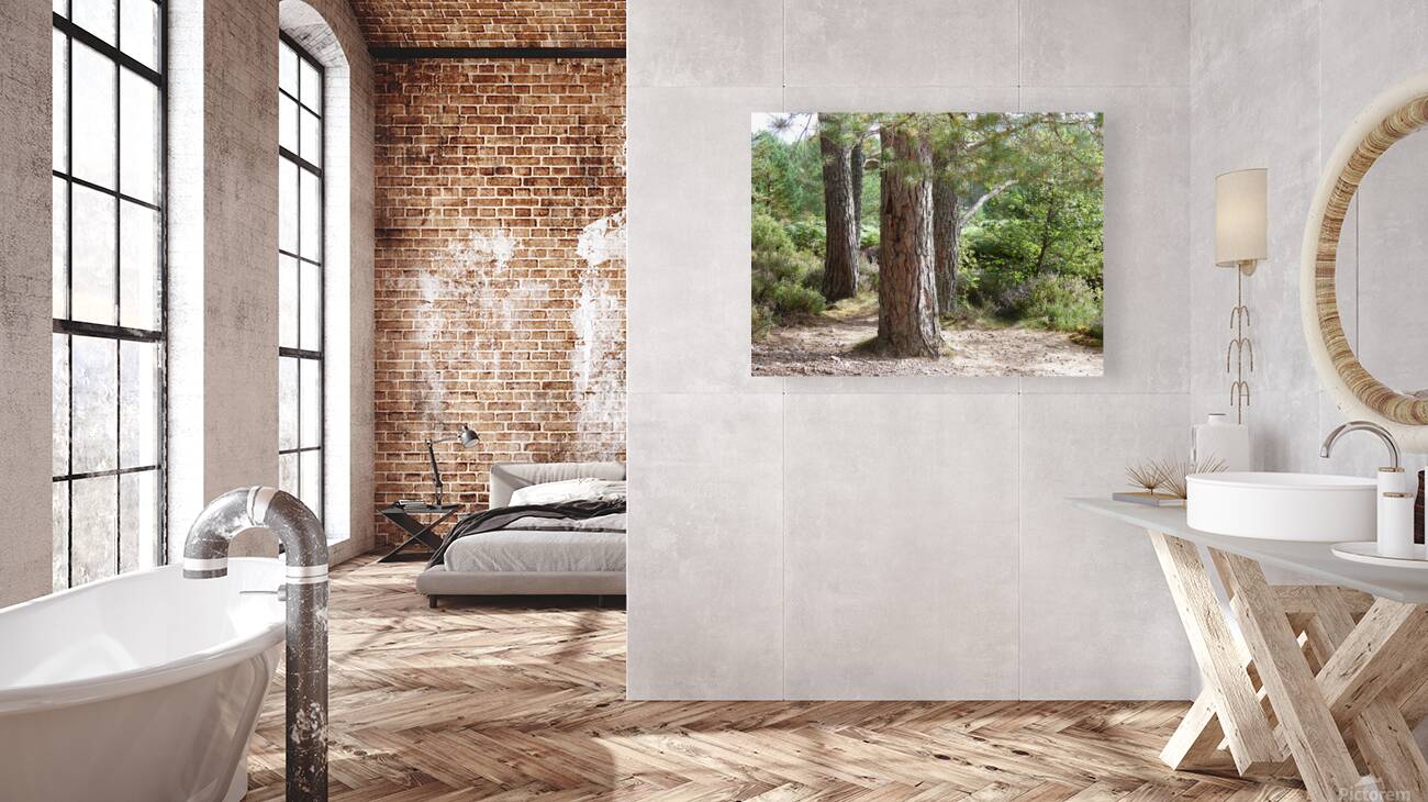 Scottish Highlands Pines Reproduction