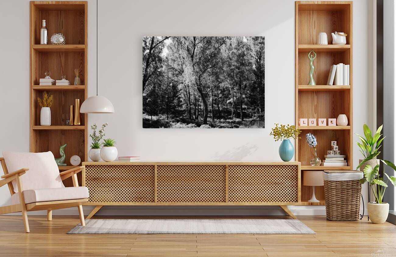 Scottish Highlands Black and White Forest Reproduction