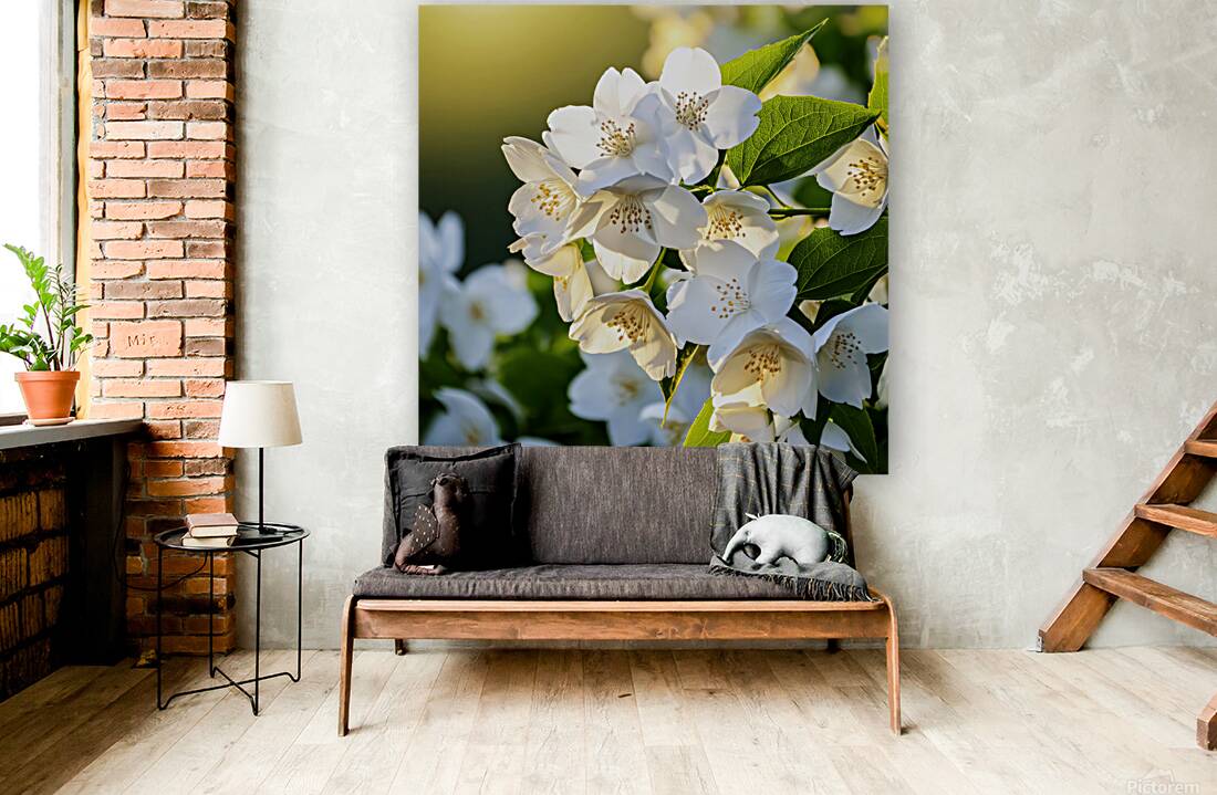 The Perfume of Jasmine Lingers Reproduction