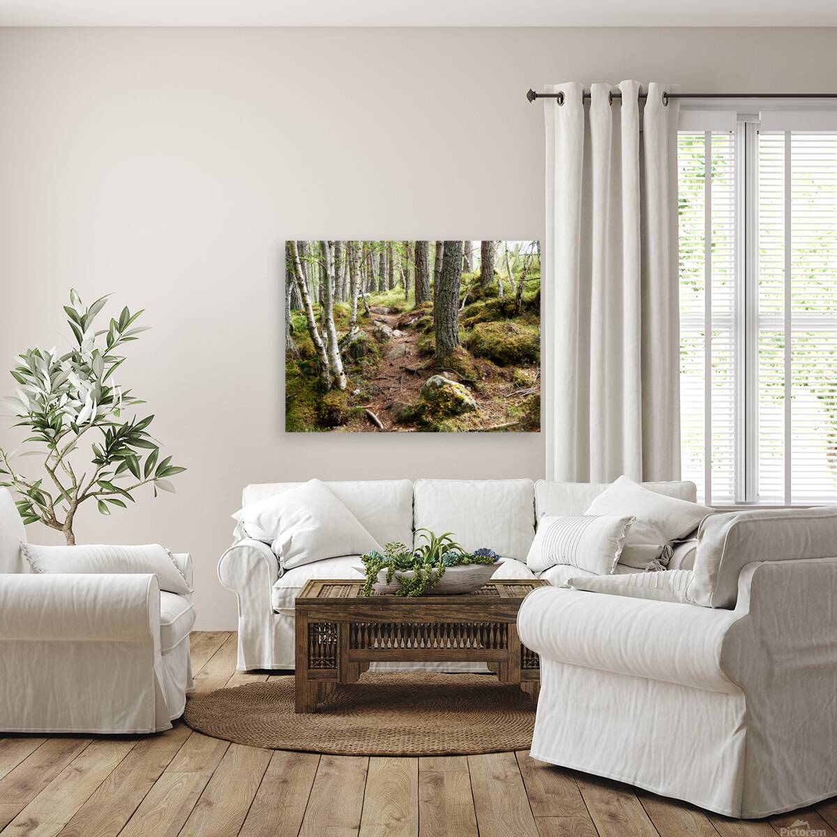  Scottish Highlands Forest Trail                                                                                                                     Reproduction