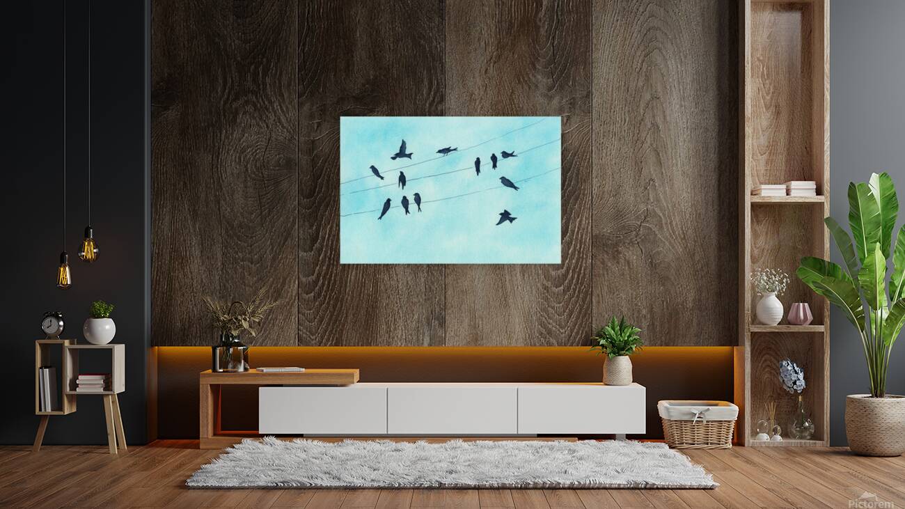 Gathering of swallows Reproduction