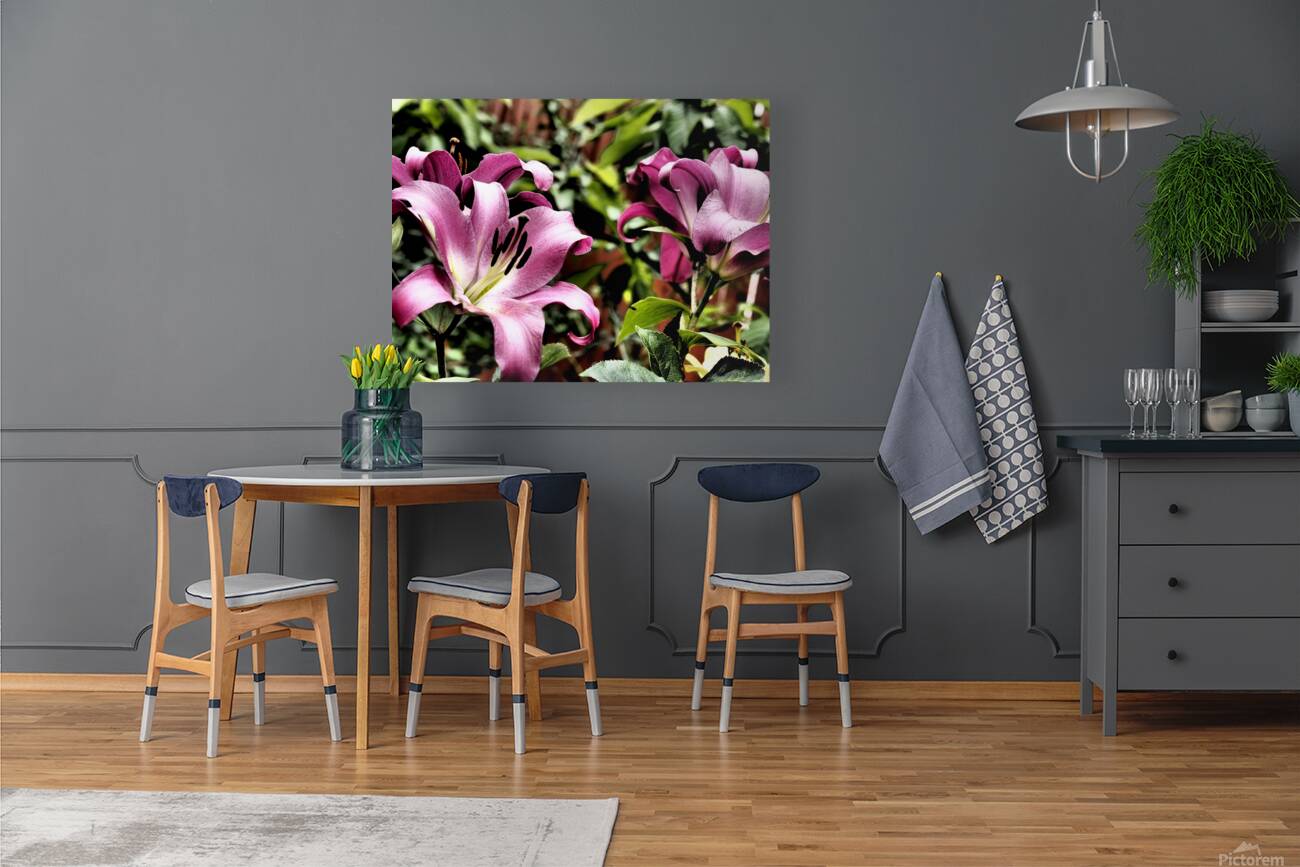  Pink Vibrant Lilies                                                                                                                     Reproduction