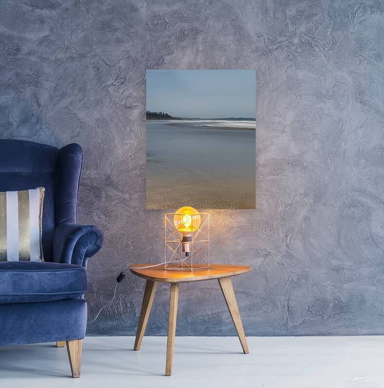 Voyage 1 Reproduction