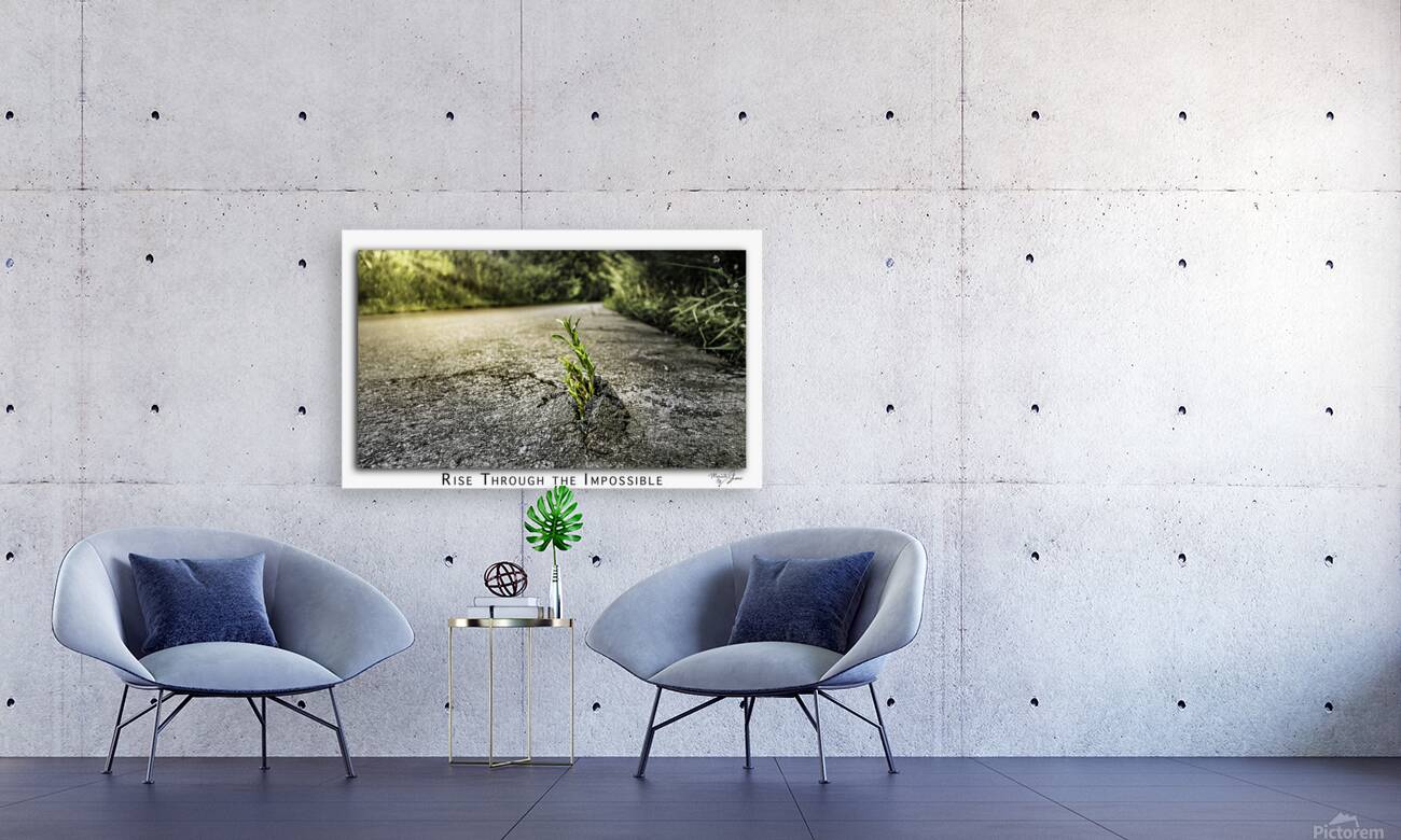 Rise through the Impossible Reproduction