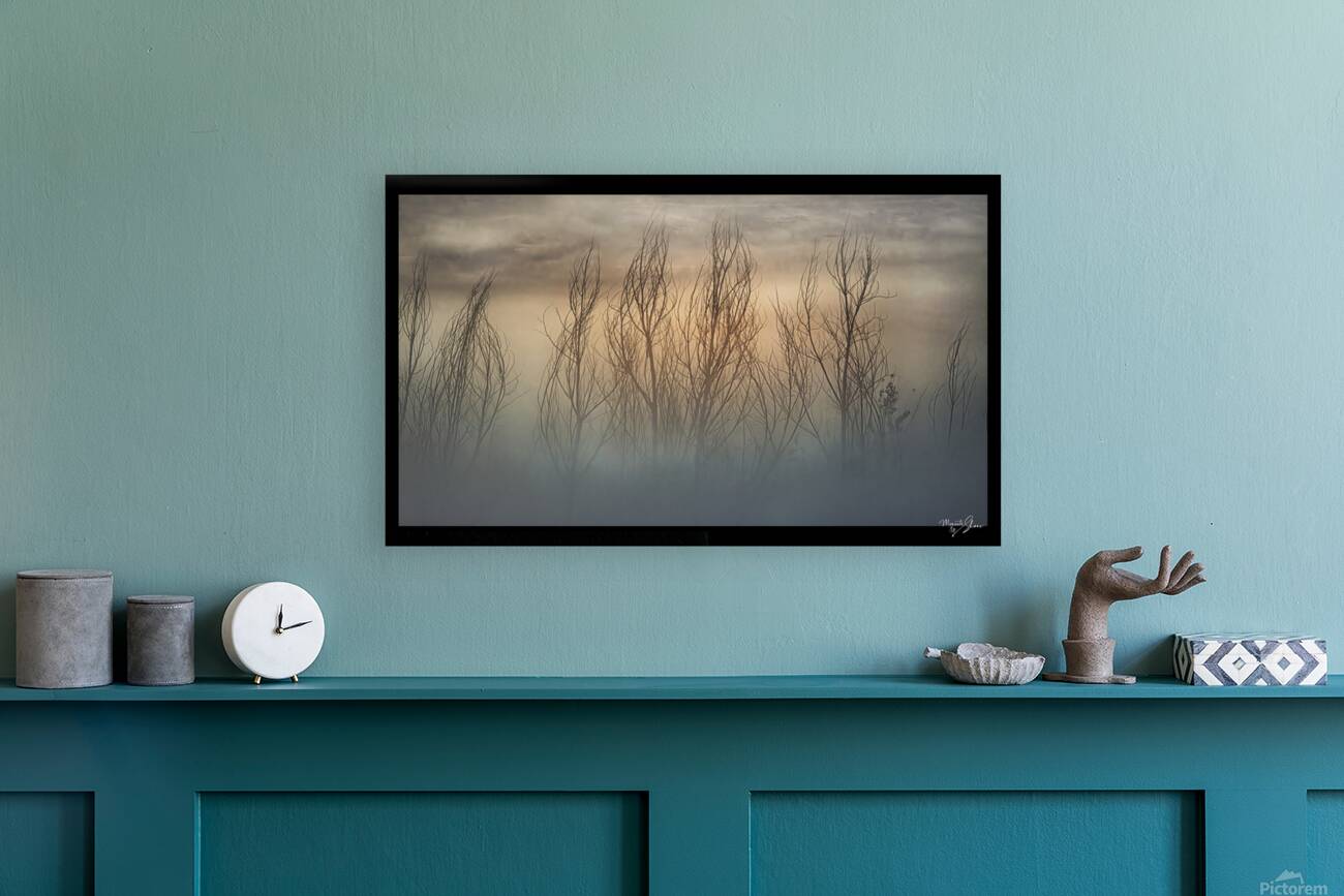 Moody Morning Backlight Reproduction