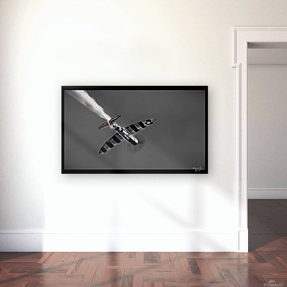 War Bird 2 Reproduction