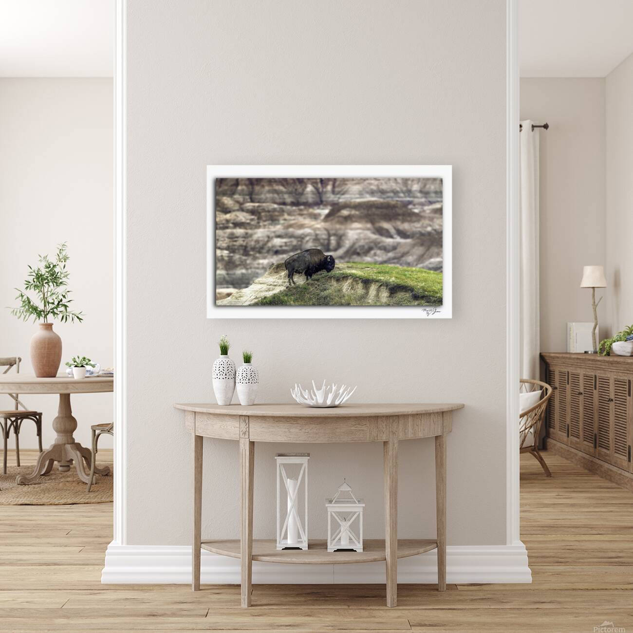 Badlands Buffalo Reproduction