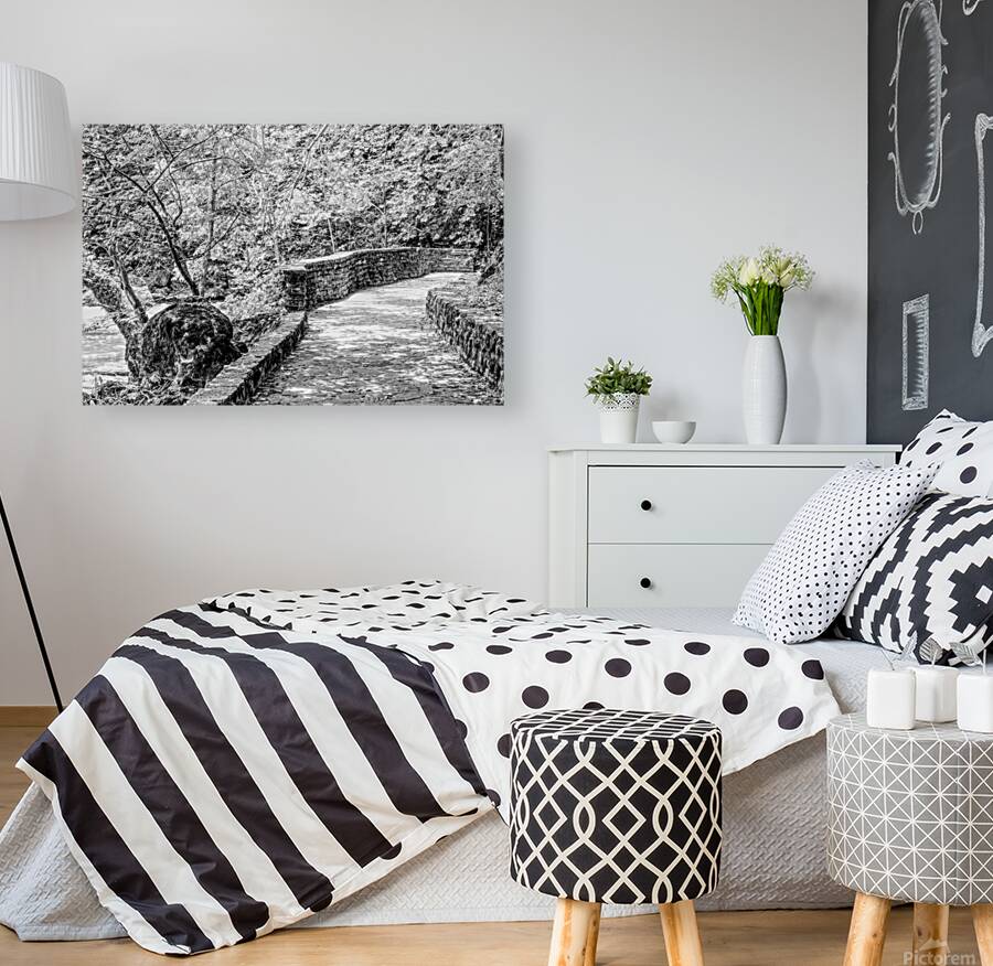 Pathway To Big Spring Grayscale Reproduction