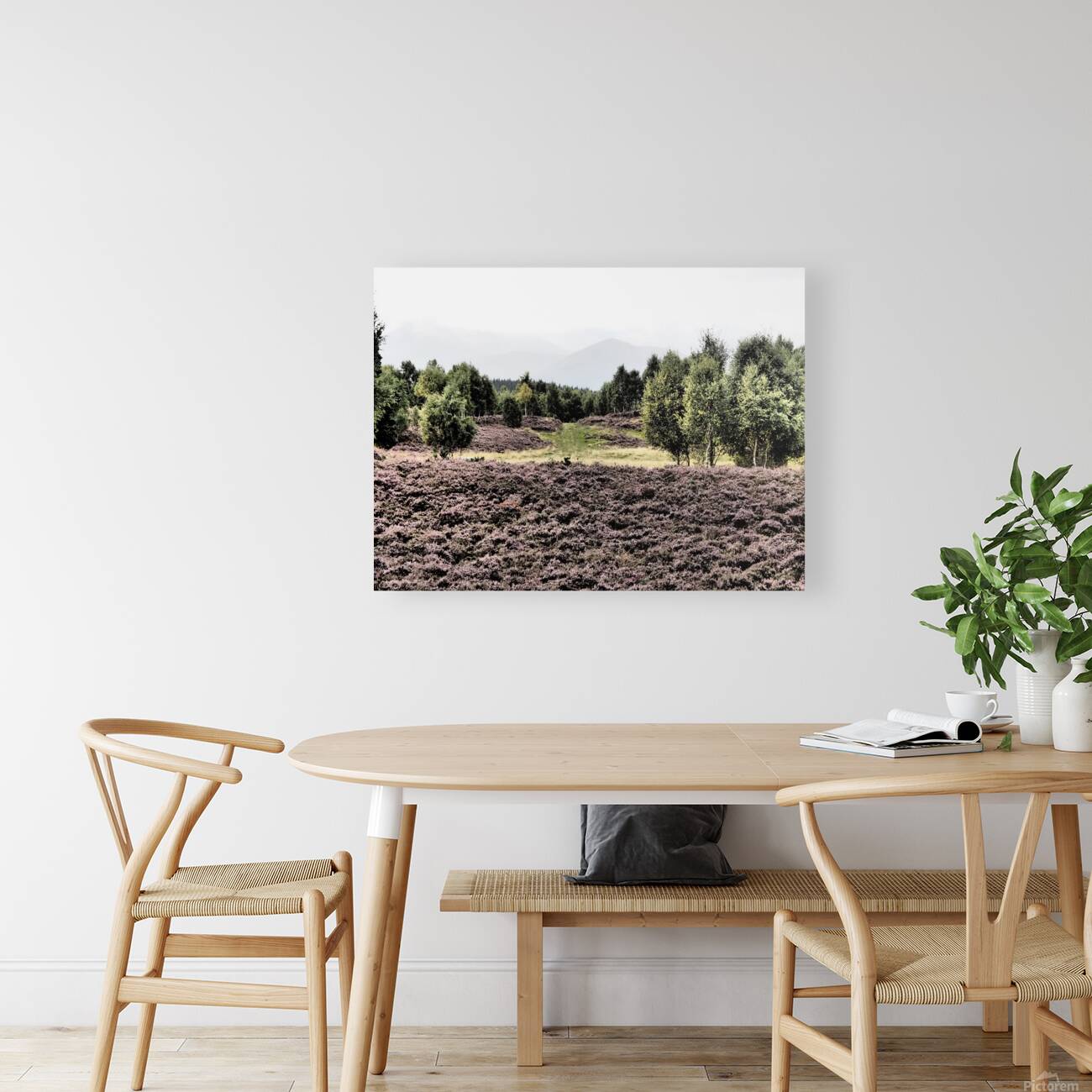 Scottish Highlands Birch Tree Landscape                                                                                                                      Reproduction