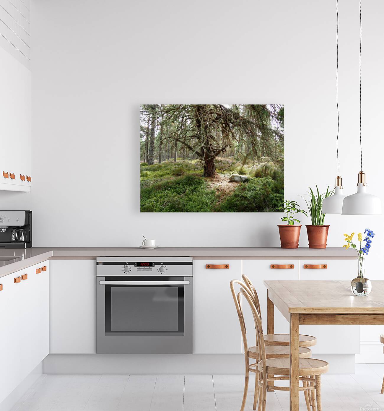 Scottish Highlands Serene Forest with Mossy Tree                                                                                                                      Reproduction