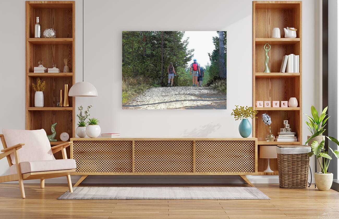  Walking the Forest Trails in the Scottish Highlands                                                                                                                     Reproduction