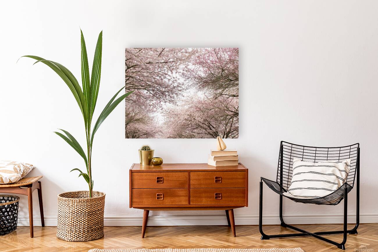 Pink Canopy Reproduction