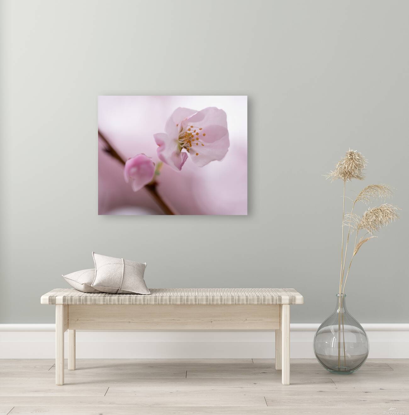 Etamines Reproduction