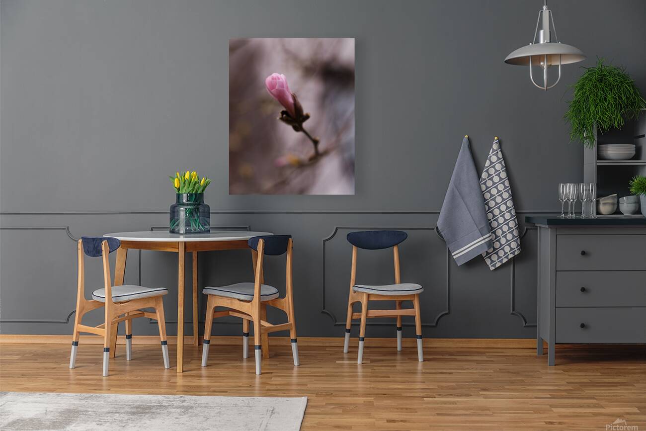 Second Chances Reproduction