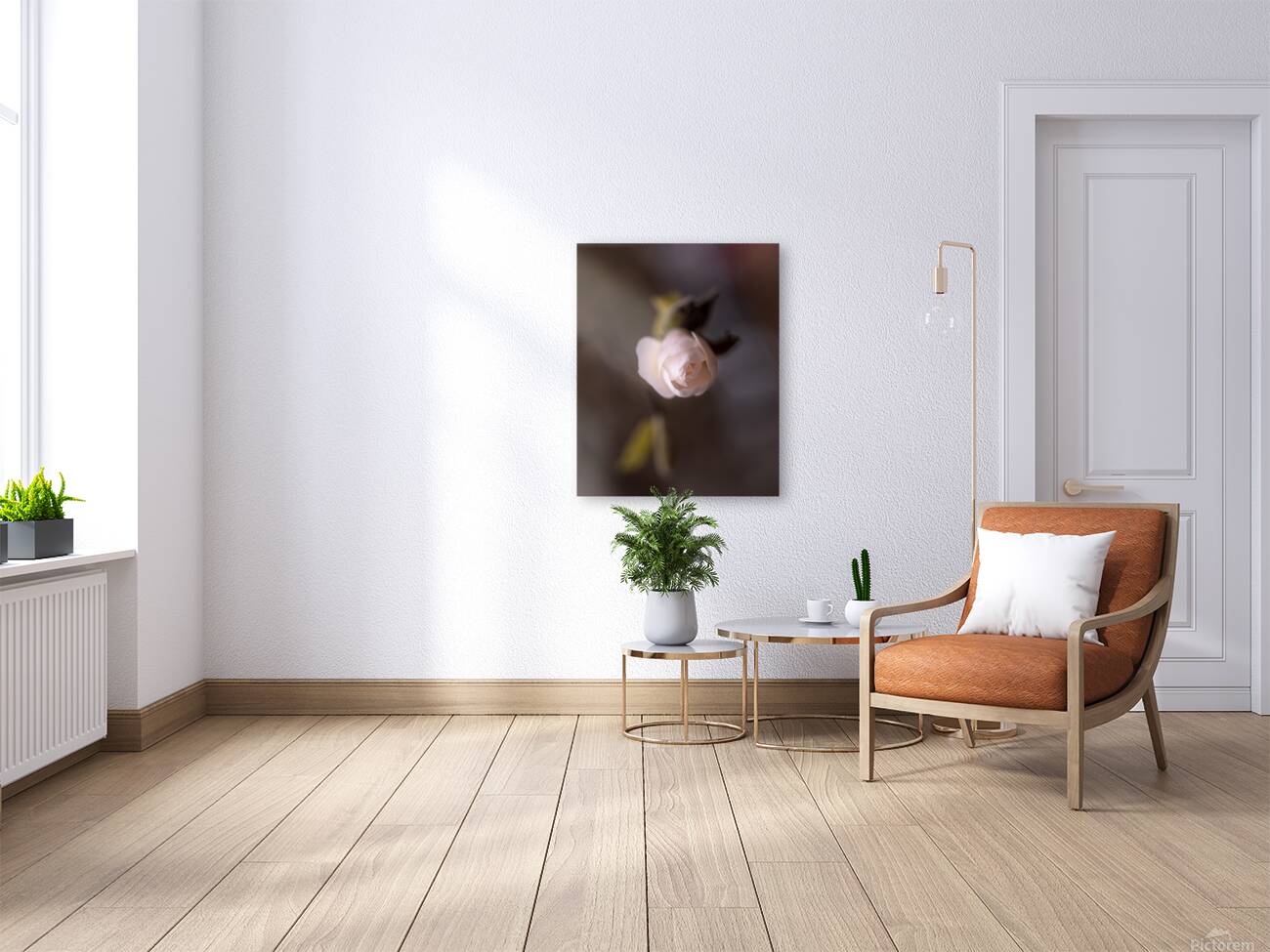 New Beginnings Reproduction