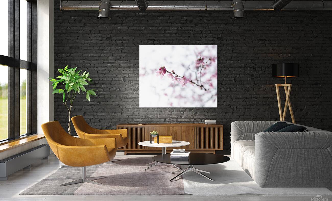 Awakenings Reproduction