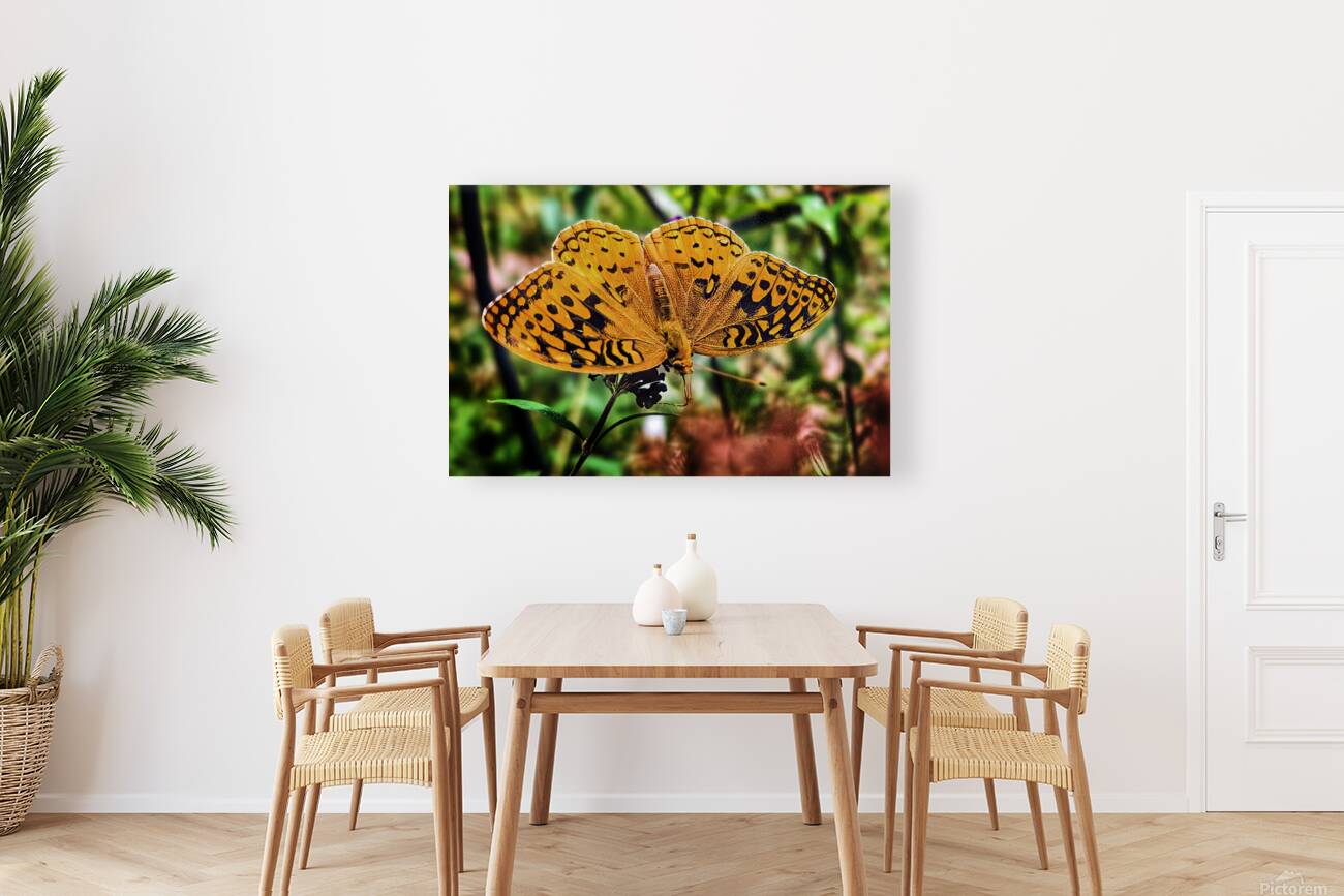 Feeding in the Light Reproduction