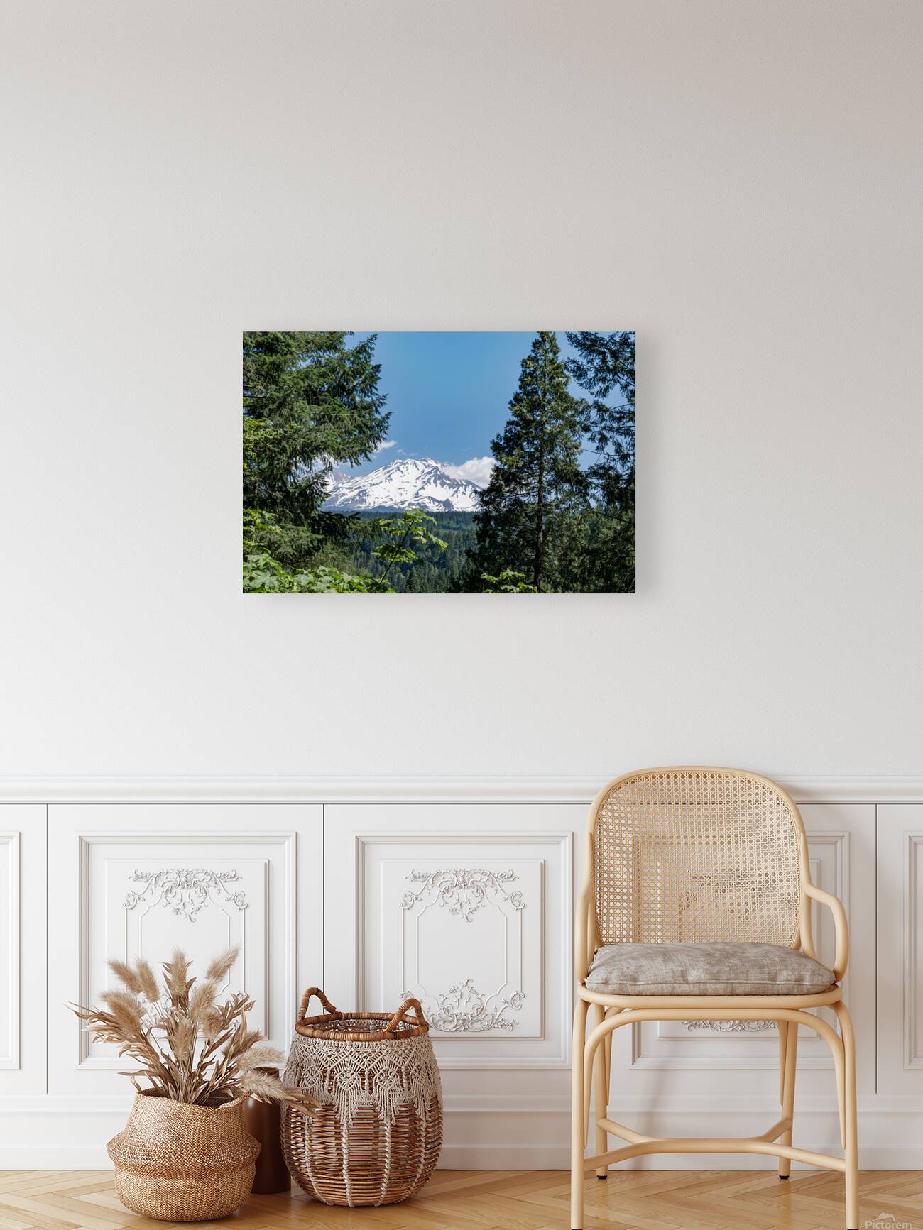 Mount Shasta framed with trees Reproduction