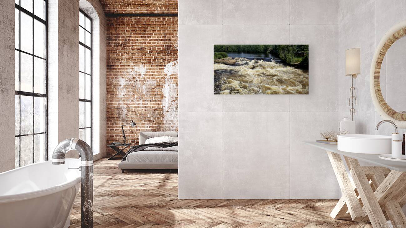 Rapids  Reproduction