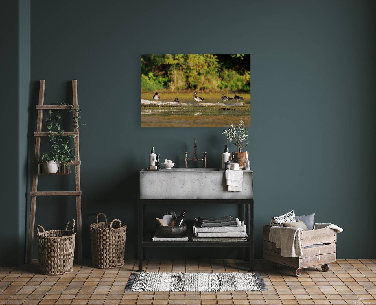 0C5A2812 Wood Ducks Reproduction