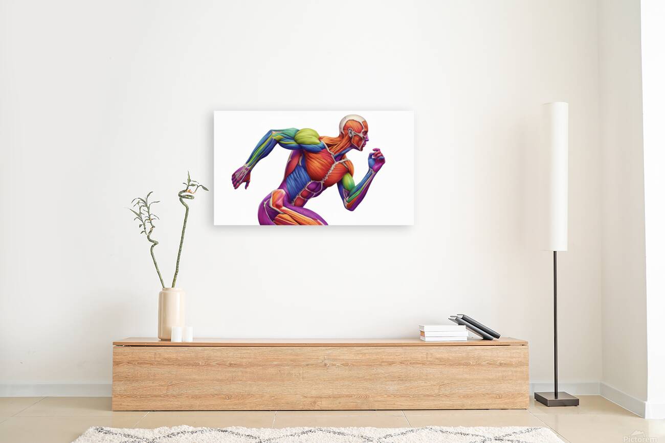 Spectrum Runner — Color-Coded Muscle Anatomy in Motion Reproduction
