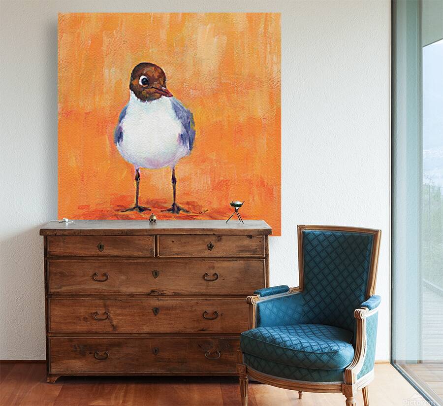 Black headed gull at the sandy beach Reproduction