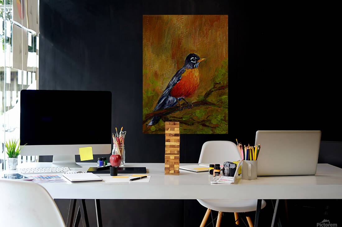 North American Robin portrait Reproduction