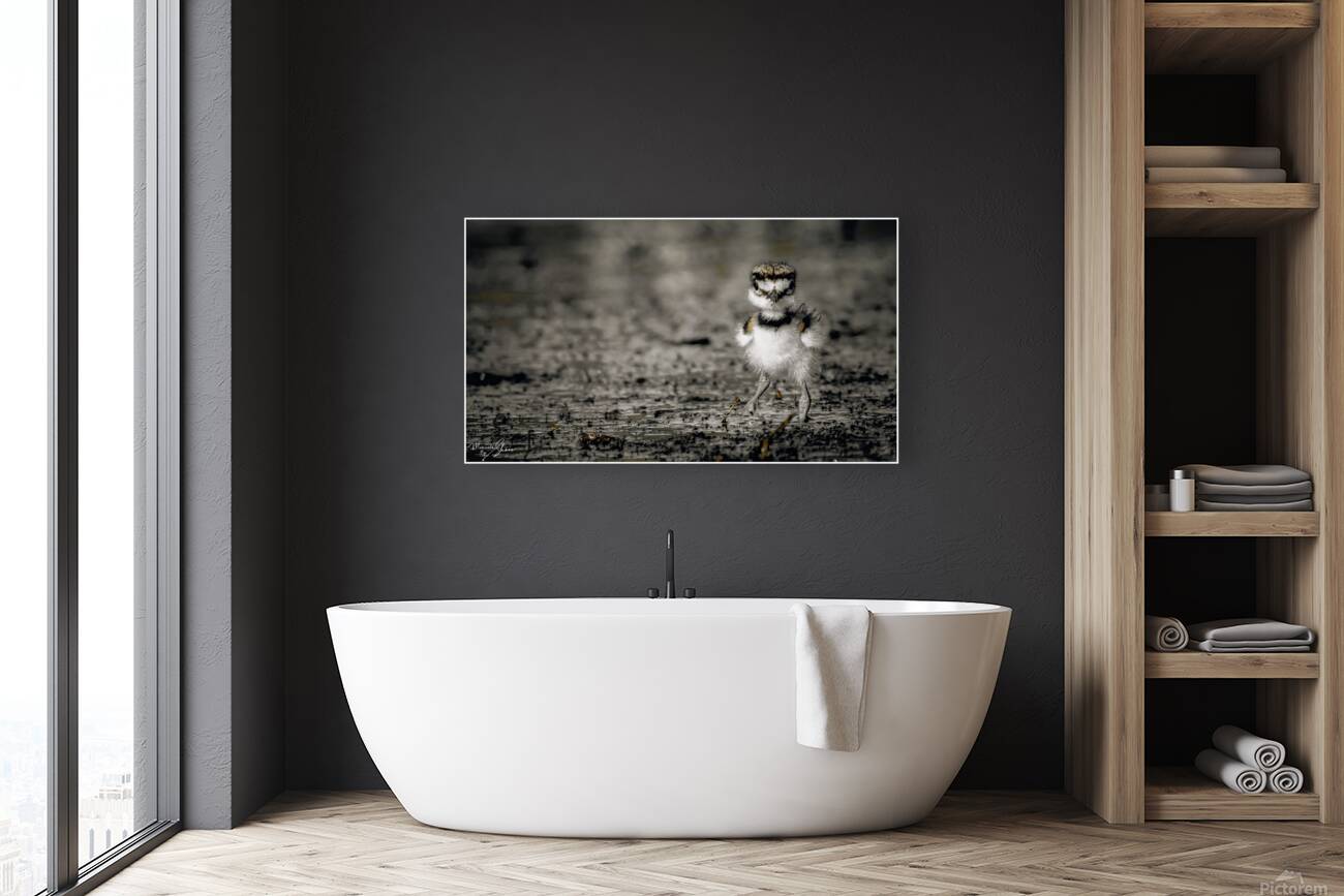 Born Confidence Reproduction