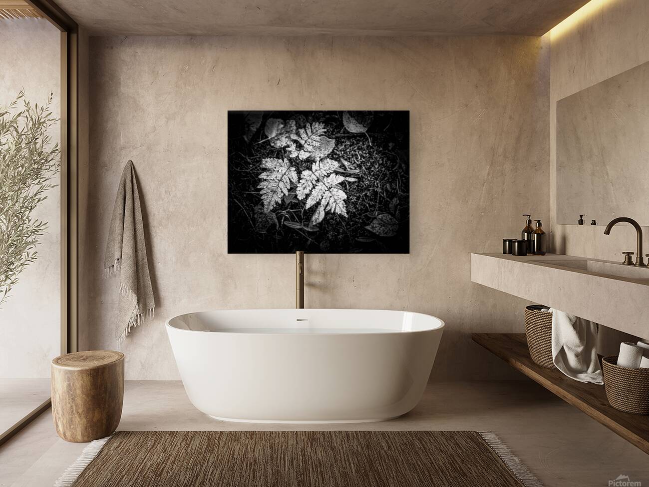 Ghost Fronds B W Reproduction