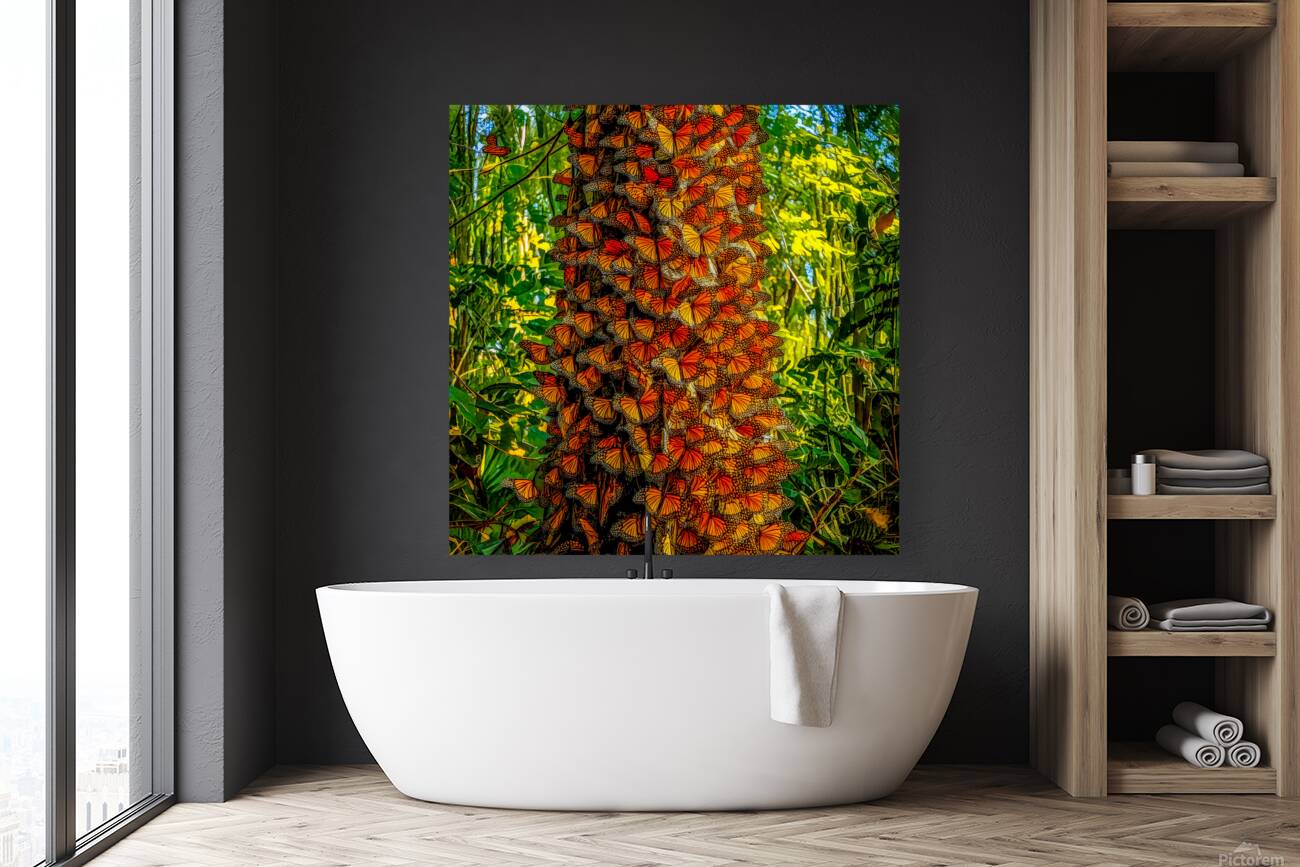 Monarchs Glad to be Home Reproduction