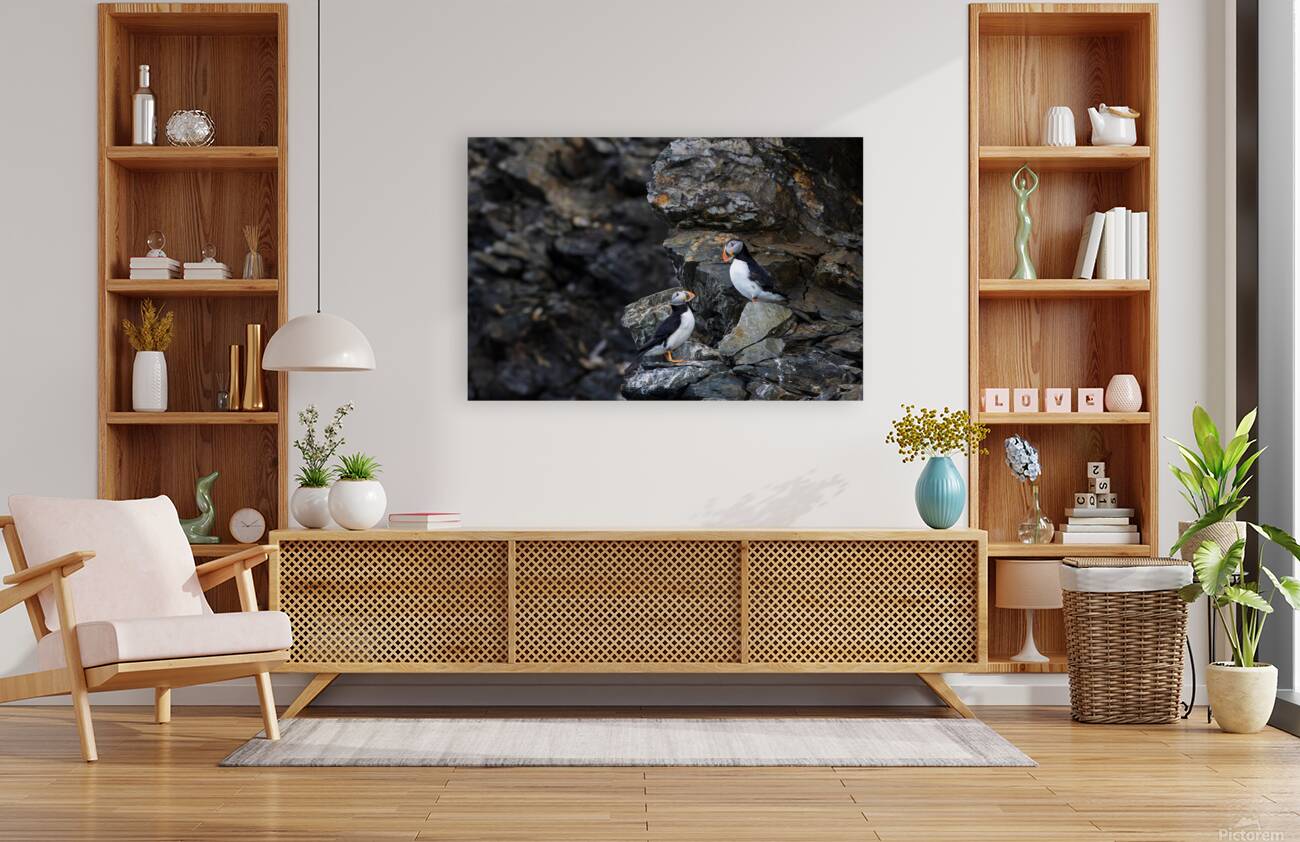 The Proposal Reproduction