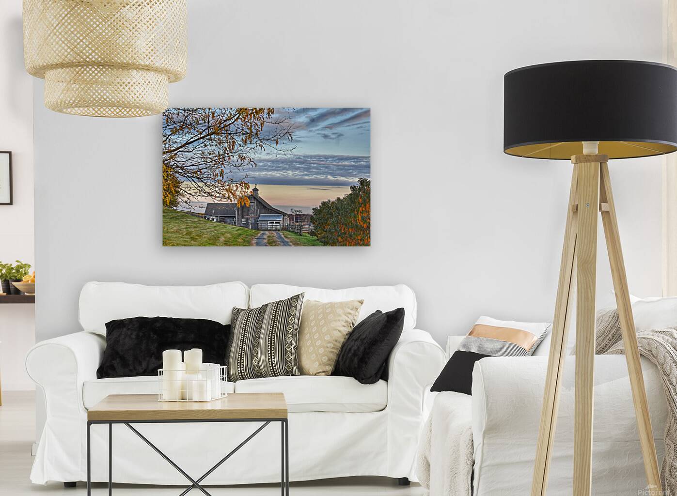 11Nov Hi Gate Farms Reproduction