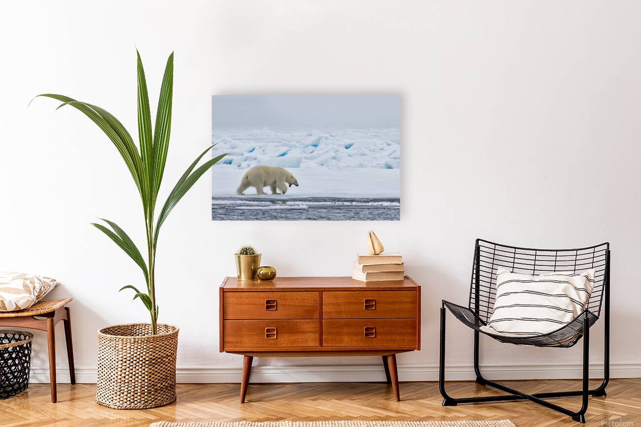 EMPRESS OF THE ARCTIC 3 Reproduction