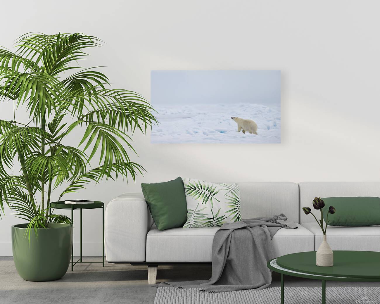 EMPRESS OF THE ARCTIC 8 Reproduction