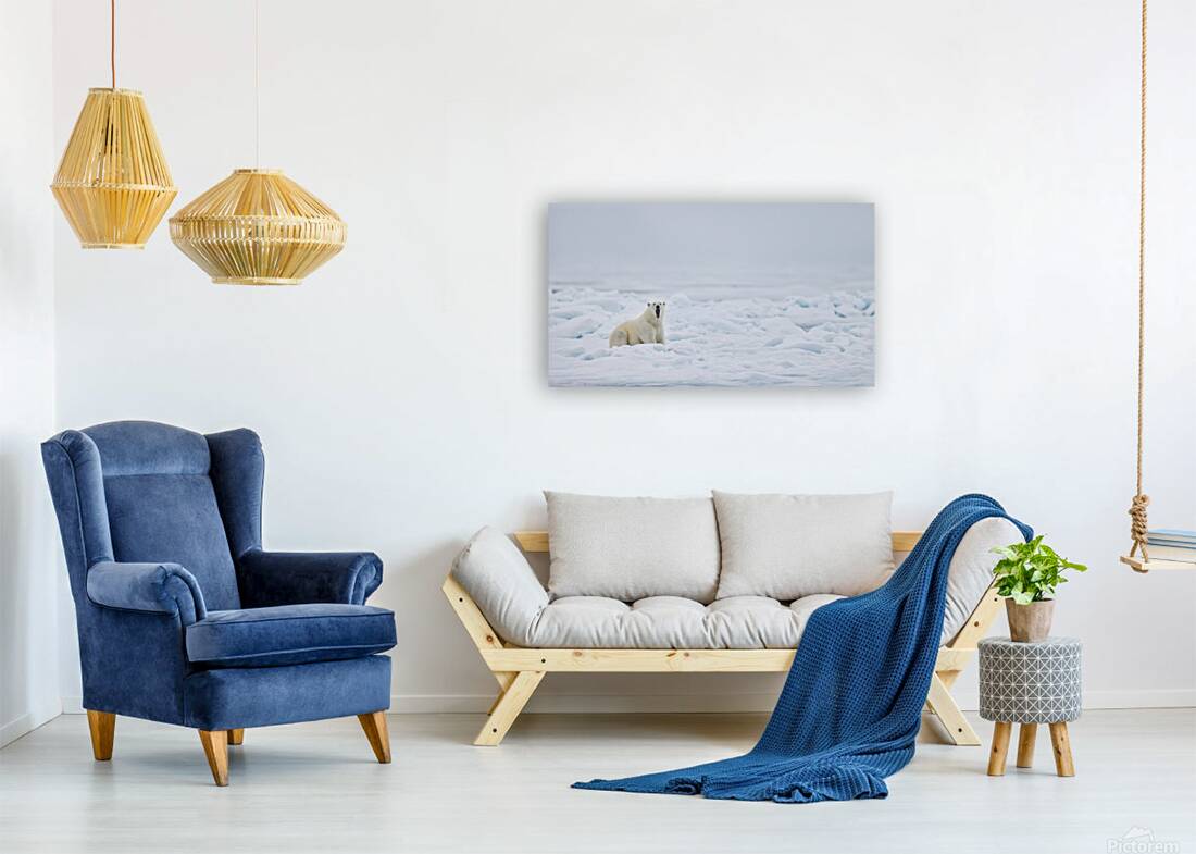 EMPRESS OF THE ARCTIC 7 Reproduction