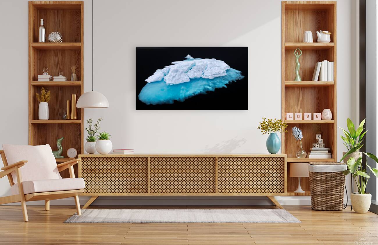 JELLYFISH ICEBERG Reproduction