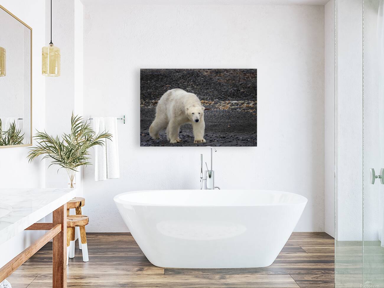 ARCTIC MAJESTY Reproduction