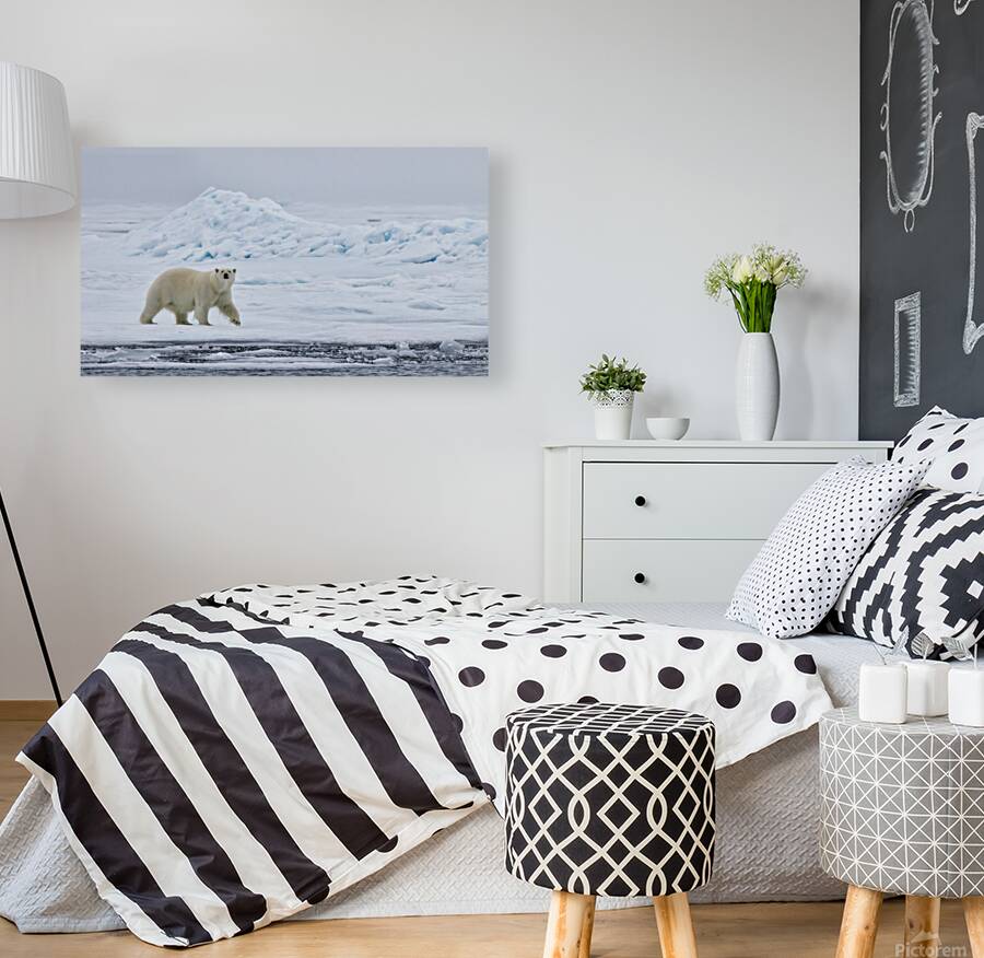 EMPRESS OF THE ARCTIC 4 Reproduction