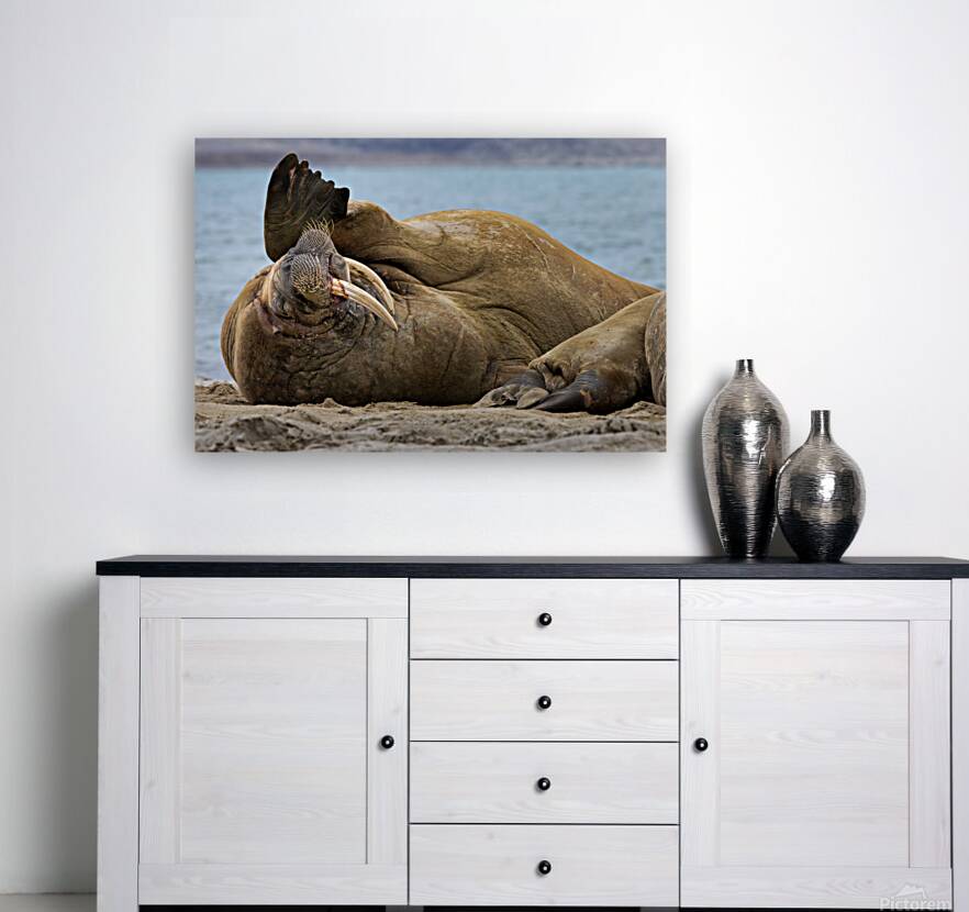 MONDAYS Reproduction