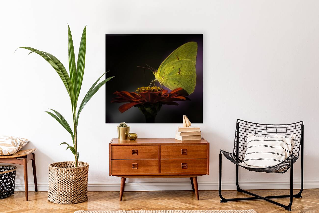 LANDING PAD Reproduction