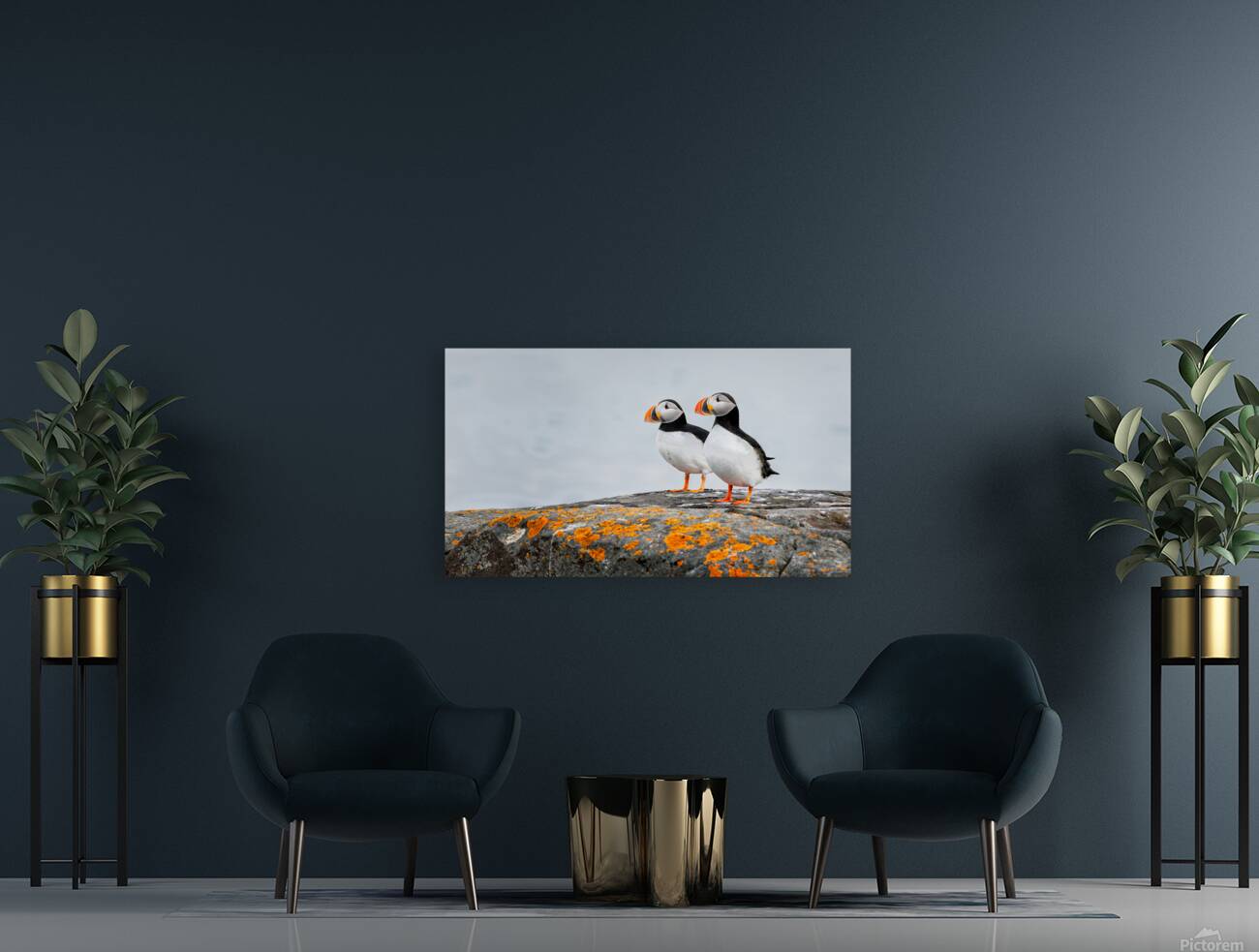 PARTNERS Reproduction