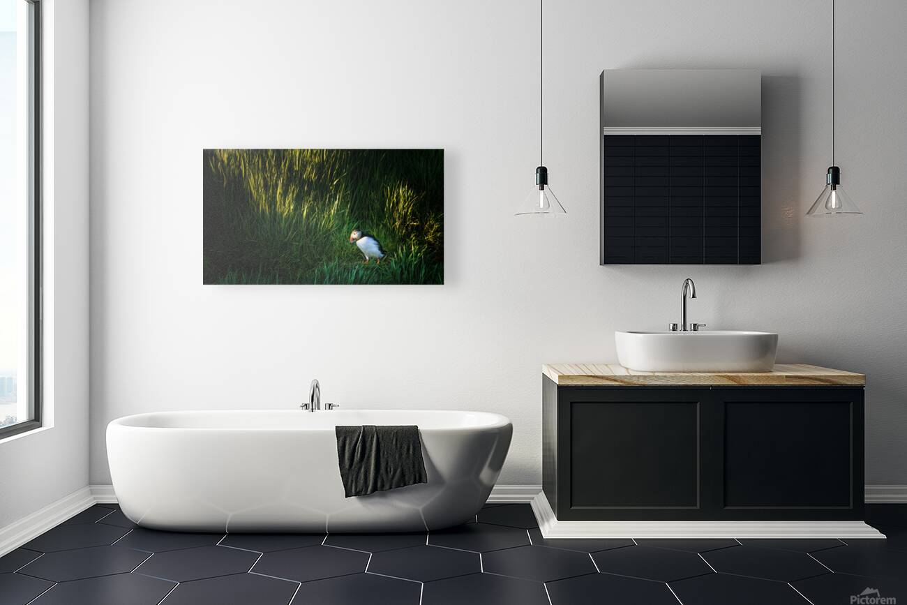 PUFFIN ON A STROLL Reproduction