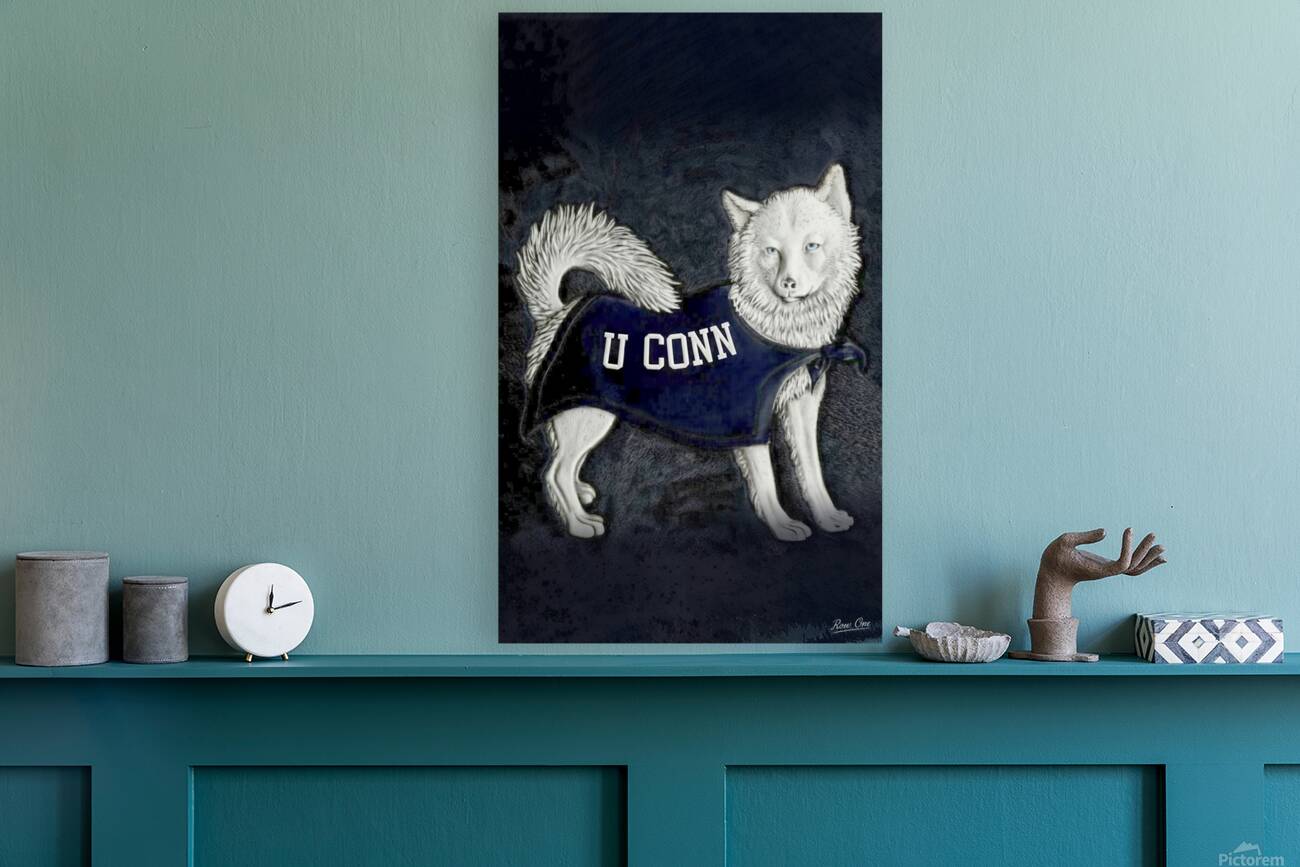 Vintage 1950s Connecticut Huskies Art Reproduction