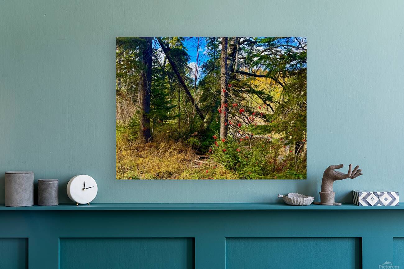 IMG 4401 brilliant colors Reproduction