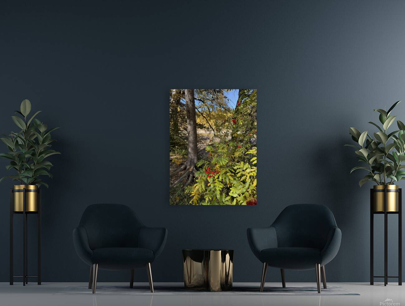 IMG 4378 landscape with colors Reproduction