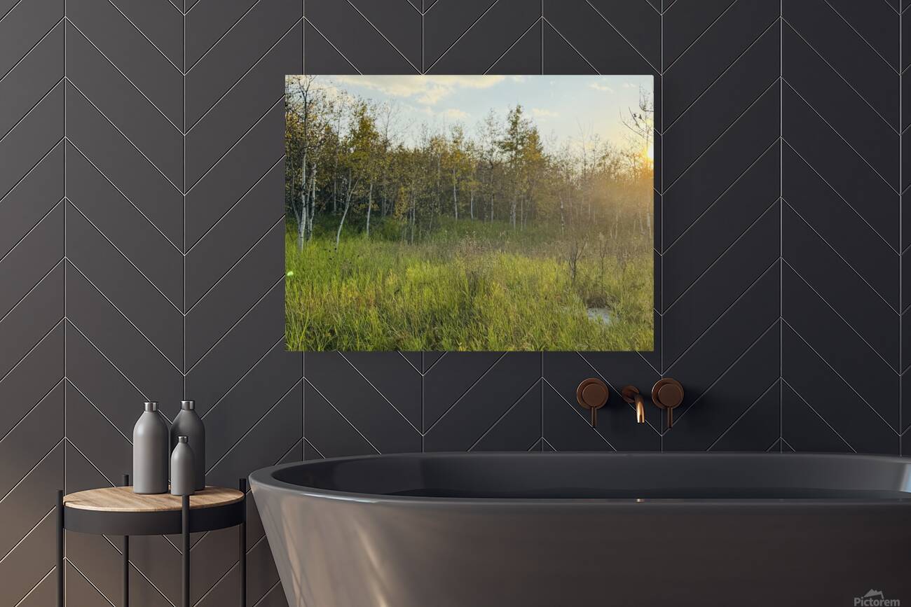 IMG 4250 Orange sun going down in the trees Reproduction