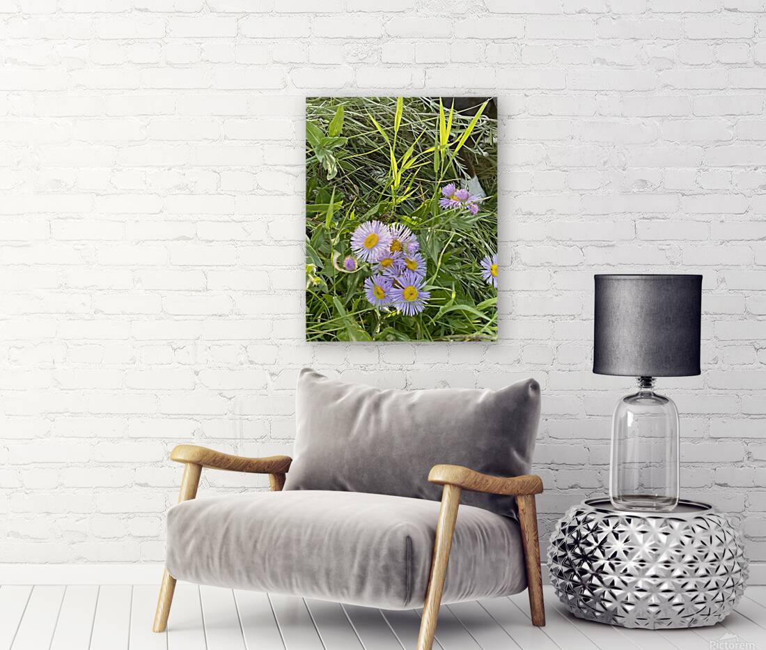 IMG 1924 wild flowers in the mountains Reproduction