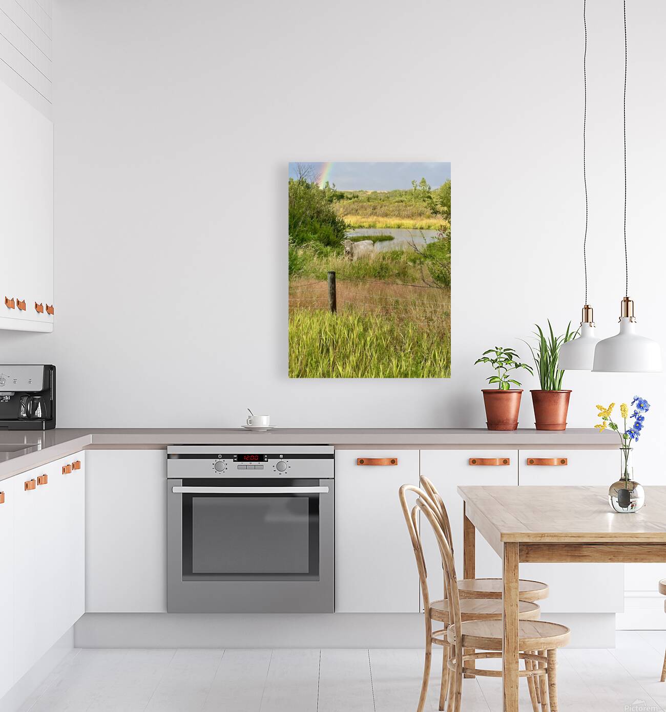 IMG 2070 bull cow Under the rainbow Reproduction