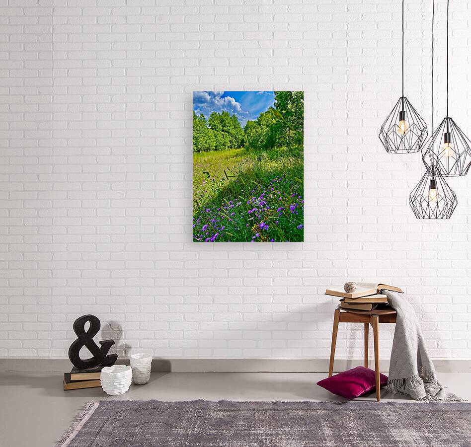 IMG 4039 Green grass purple flowers blue sky Reproduction